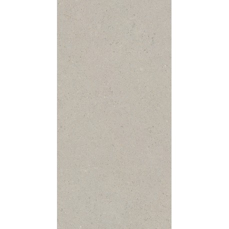 Intergres GRAY серый светлый (60х120)